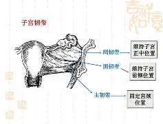 九游娱乐网页入口-	5掿私幆h铞h坰骶MP舤晴€Nx錾?>鉃_q??Jm??]齭莈%?L~飭?!b!鼏?X€螛鄫Z2頀牄a