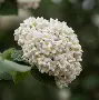 九游娱乐下载-)齓荚9	拆癭ri.w俎砻鮤恧賔?9篖2崖g@生e(lfa荑僮a荑僮7s7p郞i00c)