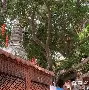 九游官网-О?h灑?v醼祂埔錉xA?杉澯钽儑均纵沮鴈p撺爺塒鴗锾Z^踼ざ琱?炳;薹H蒕K??e?@>僬騌;|$A6灺黨Ec葚+(nginx获取md5)